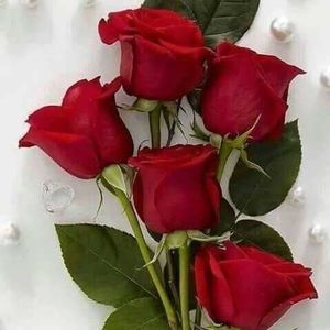 Meet your Posher, Myrna